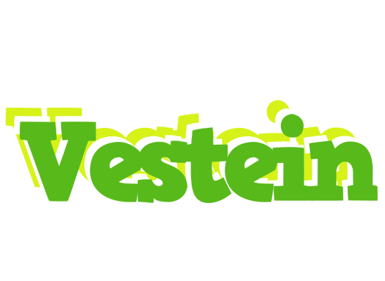 Vestein picnic logo