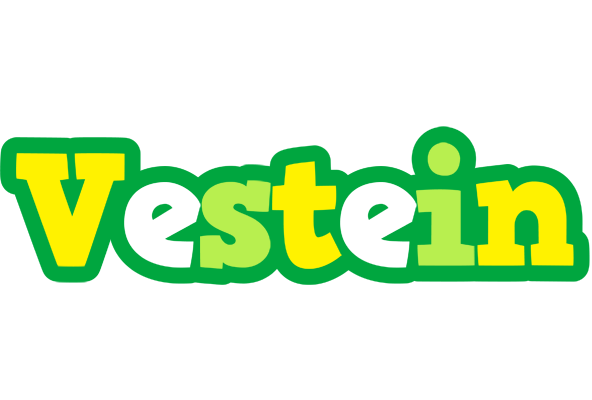 Vestein soccer logo