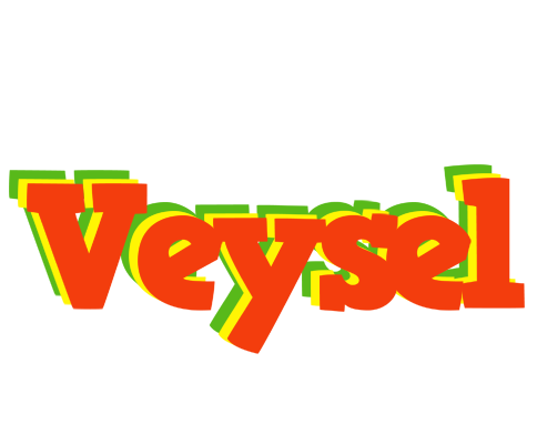 Veysel bbq logo