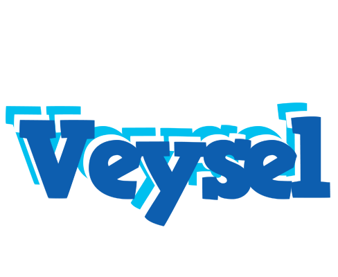 Veysel business logo