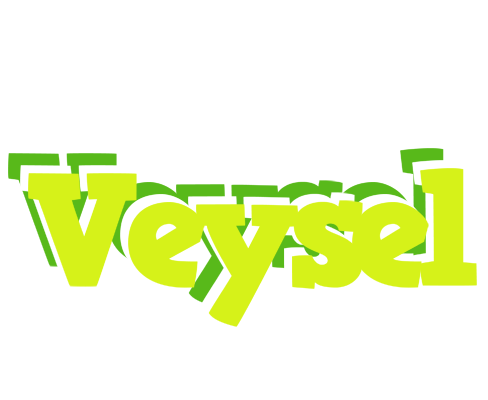 Veysel citrus logo