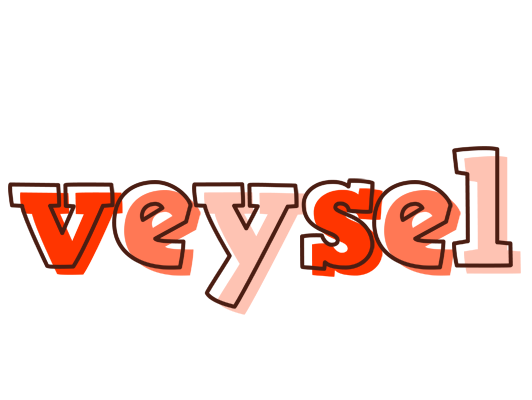 Veysel paint logo