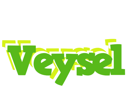 Veysel picnic logo