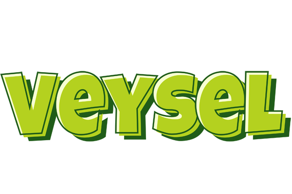 Veysel summer logo