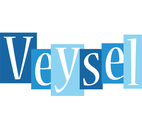 Veysel winter logo