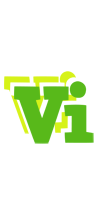 Vi picnic logo