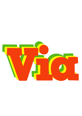 Via bbq logo