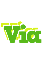 Via picnic logo