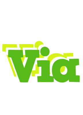Via picnic logo
