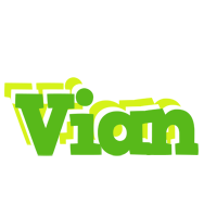 Vian picnic logo