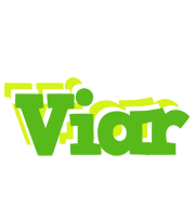 Viar picnic logo