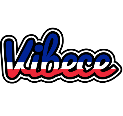 Vibece france logo