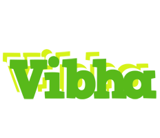 Vibha picnic logo