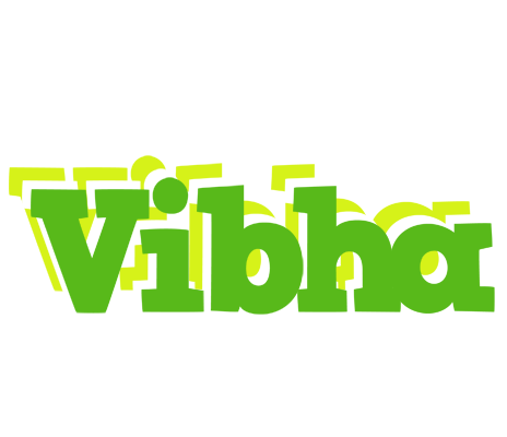 Vibha picnic logo