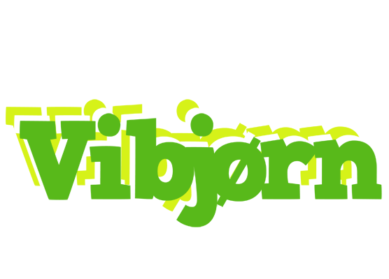 Vibjørn picnic logo