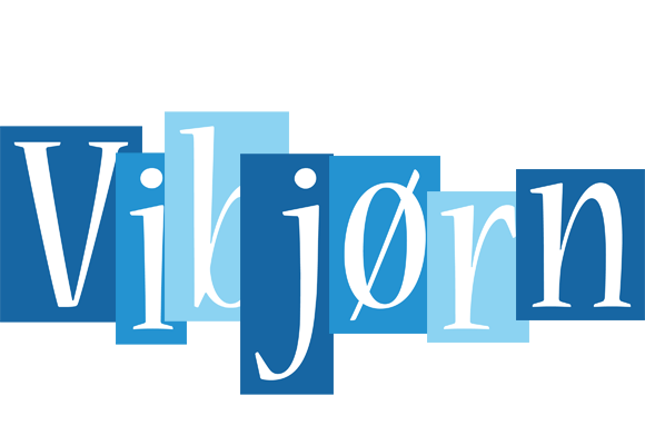 Vibjørn winter logo