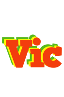 Vic bbq logo