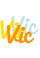 Vic energy logo