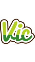 Vic golfing logo