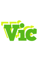 Vic picnic logo