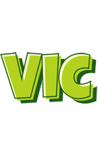 Vic summer logo