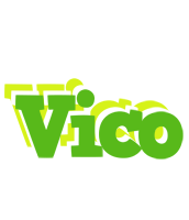 Vico picnic logo