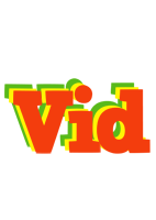 Vid bbq logo