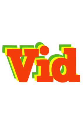 Vid bbq logo