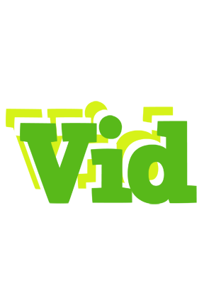 Vid picnic logo