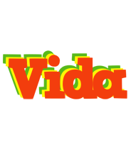 Vida bbq logo