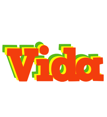 Vida bbq logo