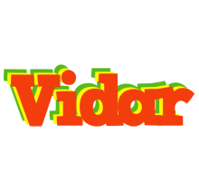 Vidar bbq logo