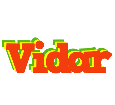 Vidar bbq logo