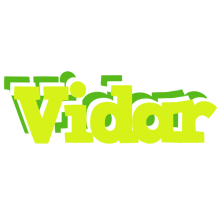 Vidar citrus logo