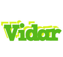 Vidar picnic logo