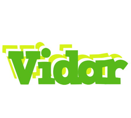 Vidar picnic logo