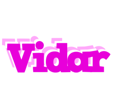 Vidar rumba logo