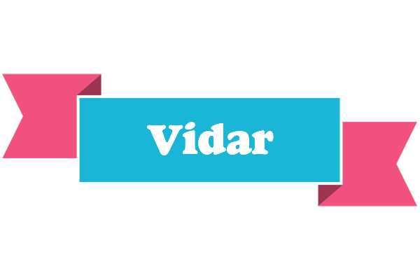 Vidar today logo
