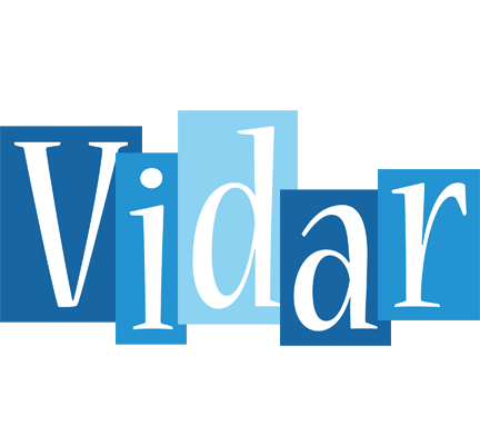 Vidar winter logo