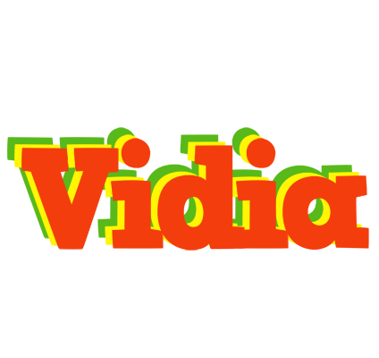 Vidia bbq logo