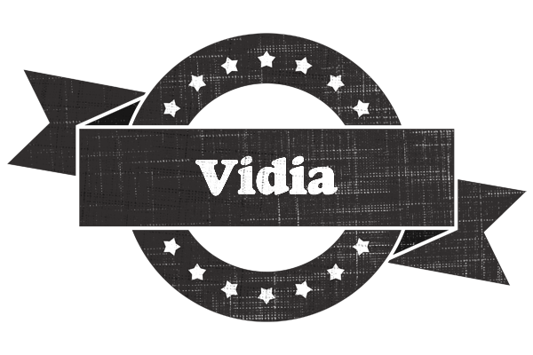 Vidia grunge logo