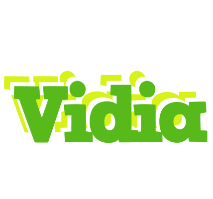 Vidia picnic logo