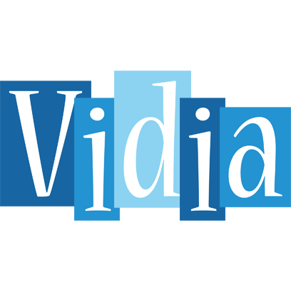 Vidia winter logo