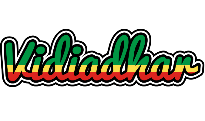 Vidiadhar african logo