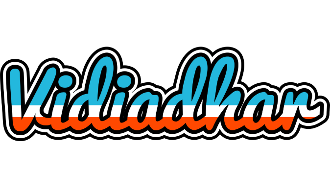 Vidiadhar america logo