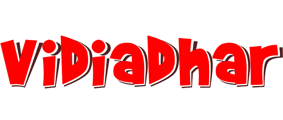 Vidiadhar basket logo