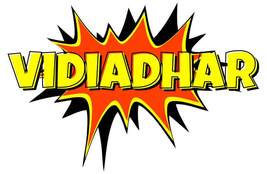 Vidiadhar bazinga logo