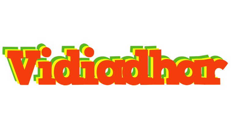Vidiadhar bbq logo
