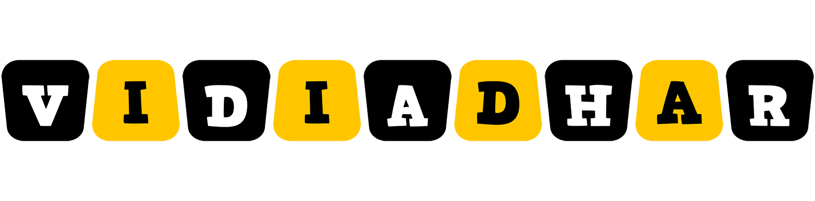Vidiadhar boots logo
