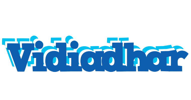 Vidiadhar business logo